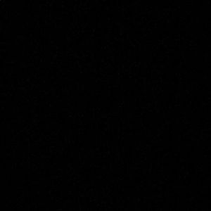 Meet your Posher, Bailee